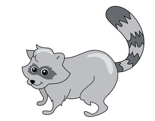 Raccoon