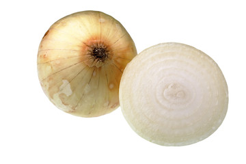 Onion with cross section against white