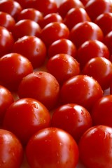 Tomaten