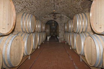 Cantina di vino con botti