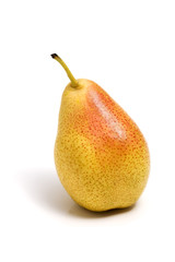 single pear of species 