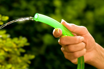 watering the greenery with a garden hose, glistening wather