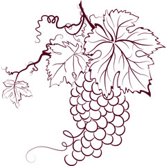 Grapes With Leaves