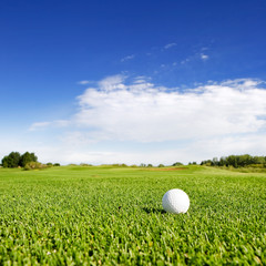 A golf ball on a fairway on a golf couse