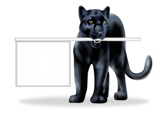 pantera nera con cartello © Piumadaquila.it