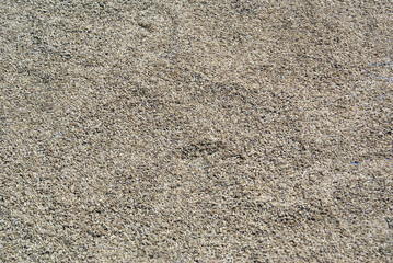 Harvest and dry rice on the road