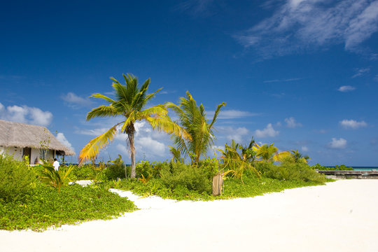 Maldivian Beach Side