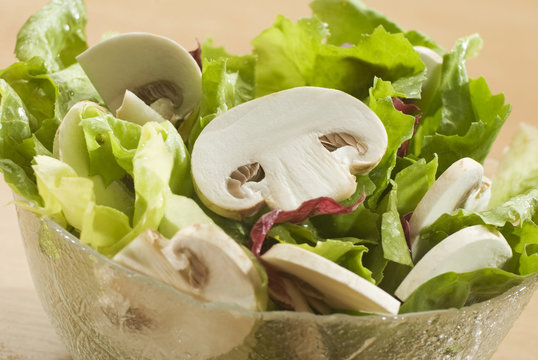fresh green salad with white mushroom close up
