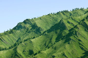 mountains with geen forest on blue sky