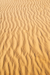 sea of sand