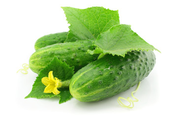 green cucumber vegetable fruits with leafs isolated