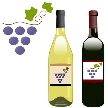 grape vineyard symbol with red & white wine bottles & labels