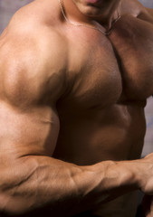 Fototapeta premium Close-up of an anonymous bodybuilder torso