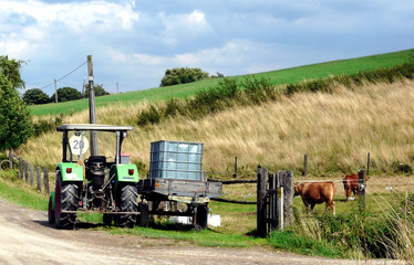 Auf dem Lande
