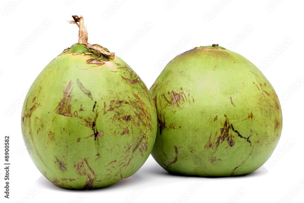 Wall mural two coconut fruits on white background .