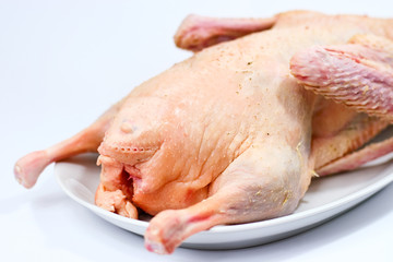 roher Gänsebraten, raw roast goose