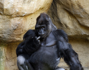 Honest I'm just thinking