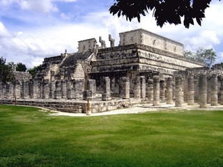 Obraz premium chichen