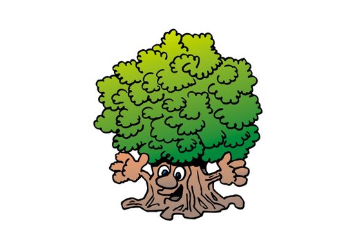 Fototapeta Lachender Baum