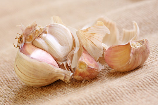 garlic bulb, focus on main bulb part.
