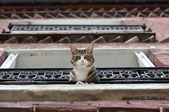 Regard