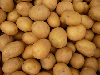 Potato - potatoes from fresh market