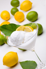 Zitroneneis im Glas vor ganzen Zitronen und Limonen