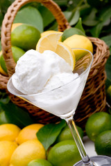 Zitronensorbet vor Korb mit ganzen Früchten