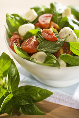 fresh salad with basil mozzarella and tomato close up