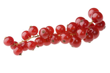 Red currants isolated against white background (no shadows)
