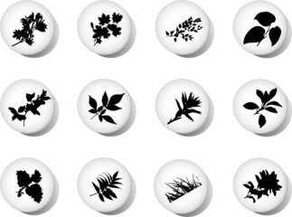 The set from silhouettes of leaves