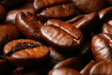 coffee beans macro close up