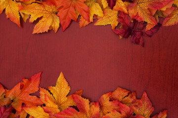 Yellow and red fall leaves on wood background