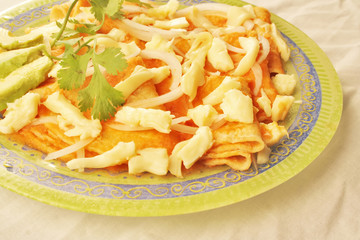 Chicken enfrijoladas with cilantro authentic Mexican food