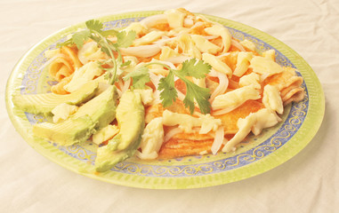 Chicken enfrijoladas with cilantro authentic Mexican food