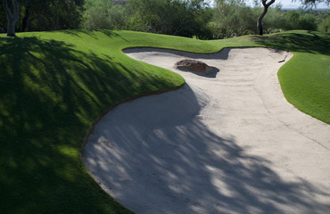 Golf Bunker with Rock