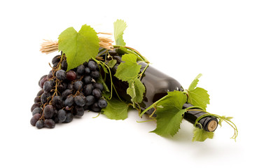 bottle of wine studio isolated