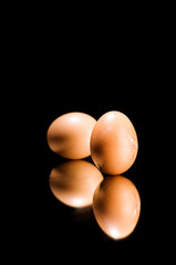 eggs