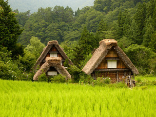 Fototapeta na wymiar japońskie wsi