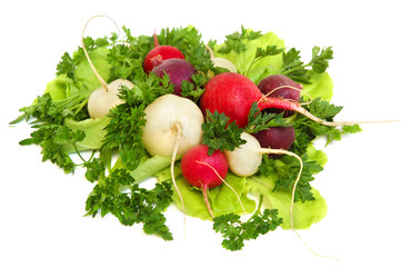 Fresh tasty greens and color radish isolated on white background