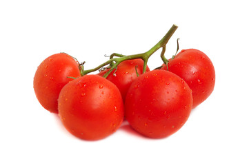 Red tomatoes on a green twig on white background