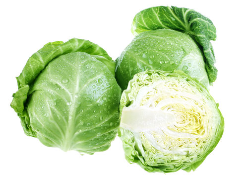 Young green cabbage isolated on white background