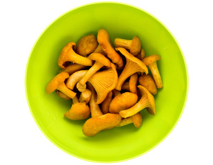 chanterelles
