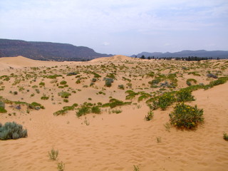 Sand Dune - Kanab