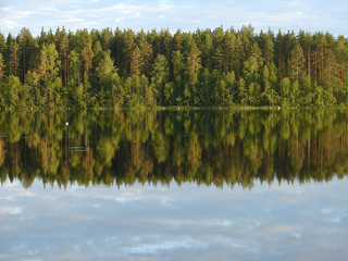 Reflection of forest in lake