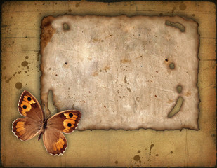 Grunge papers and the butterfly