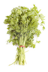 object on white - raw food parsley
