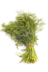 object on white - raw food dill