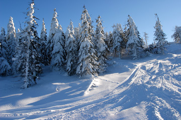 Winter sunny day in the Silesian Beskids