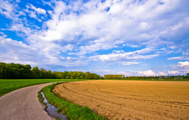 Fototapeta na wymiar country road in a rural farmlandscape with cloudy sky